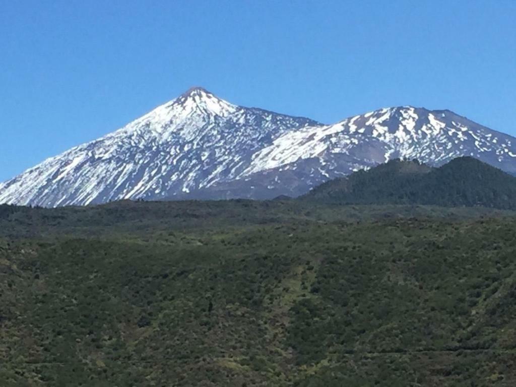 Laika Apartman Los Cristianos  Kültér fotó